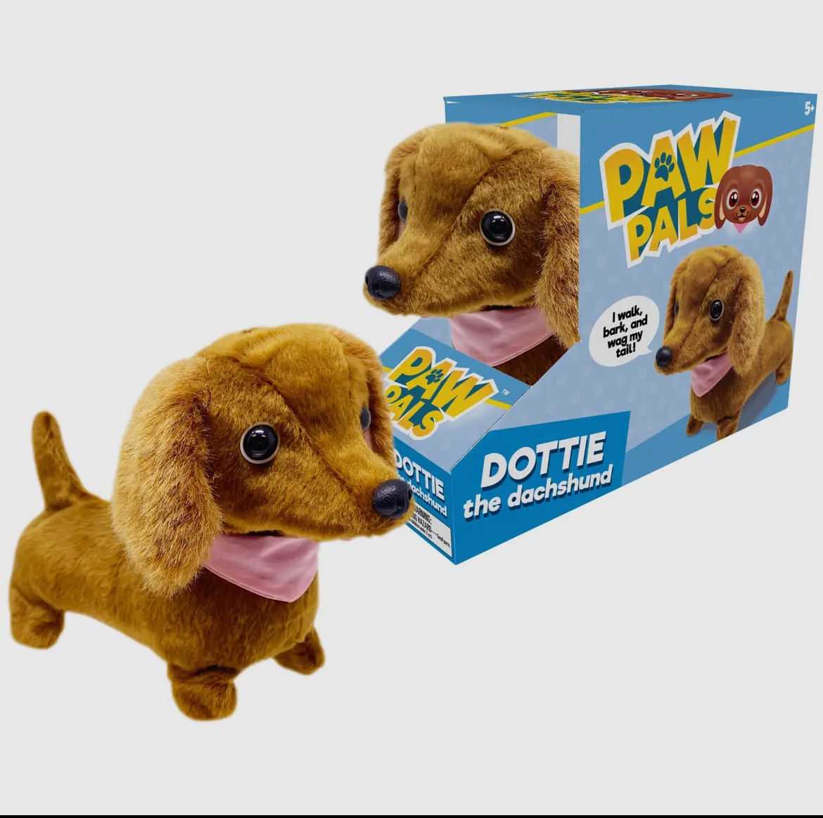 Dottie the Walking Dachshund Dog