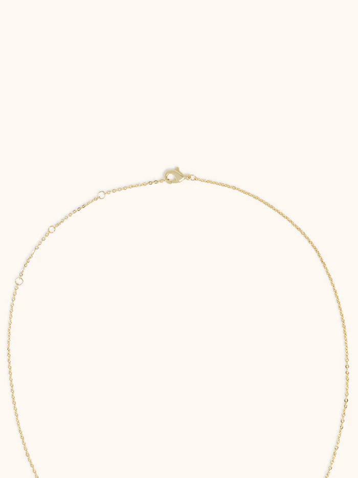 Horseshoe Lucky You Necklace