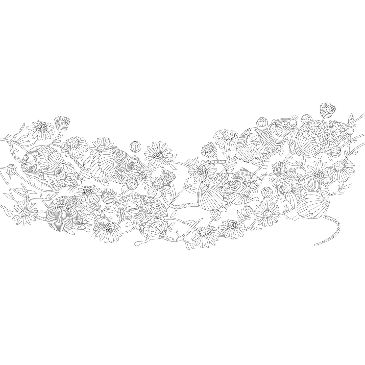 Millie Marotta's Island Escape Coloring Book