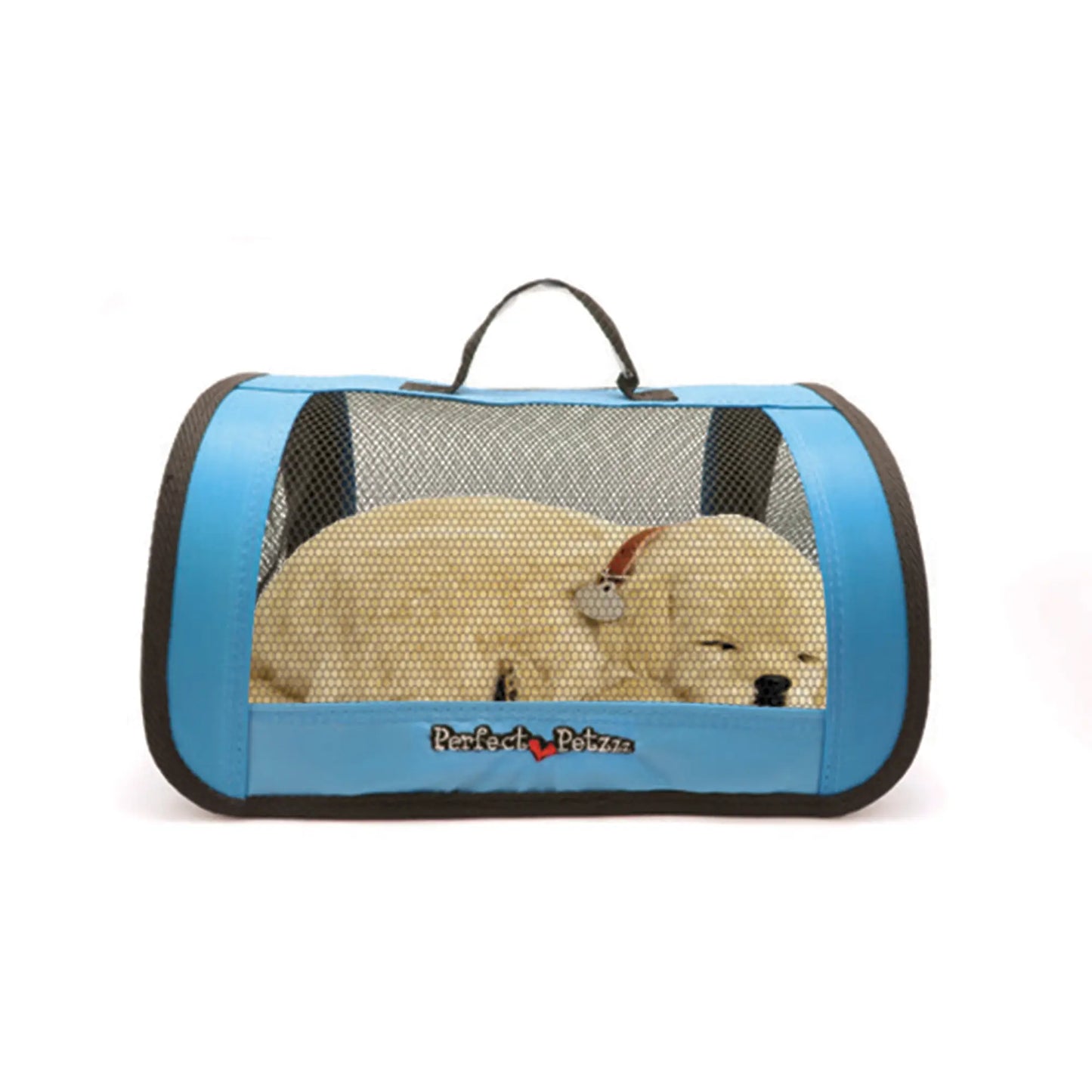 Accessory 1 - Blue Tote