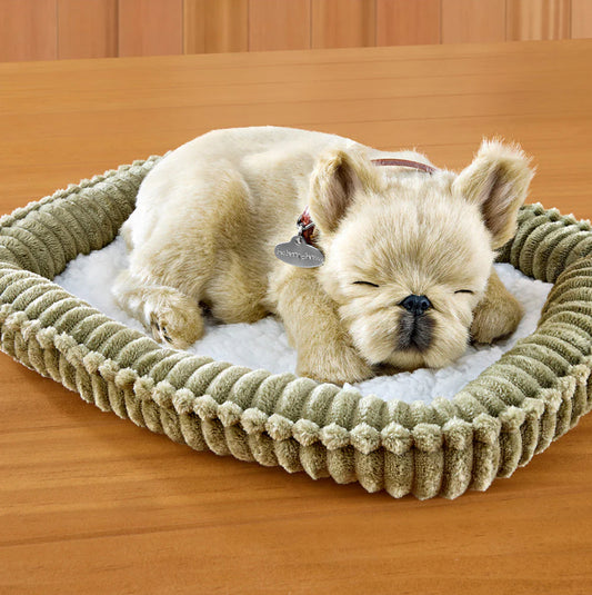 18Original - French Bulldog