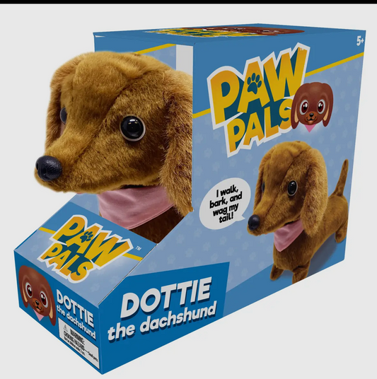 Dottie the Walking Dachshund Dog