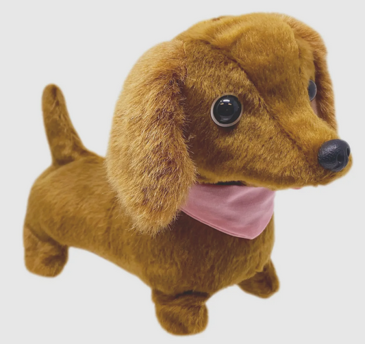 Dottie the Walking Dachshund Dog