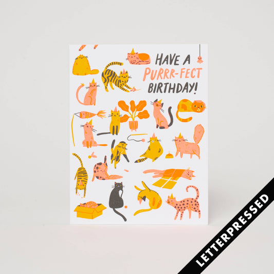 HELLO! LUCKY - Purr-fect Birthday