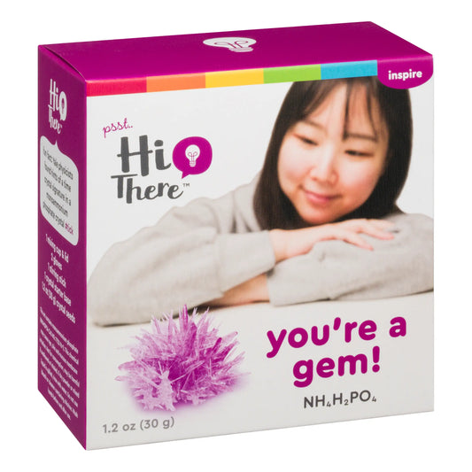 You’re A Gem Crystal Growing Kit