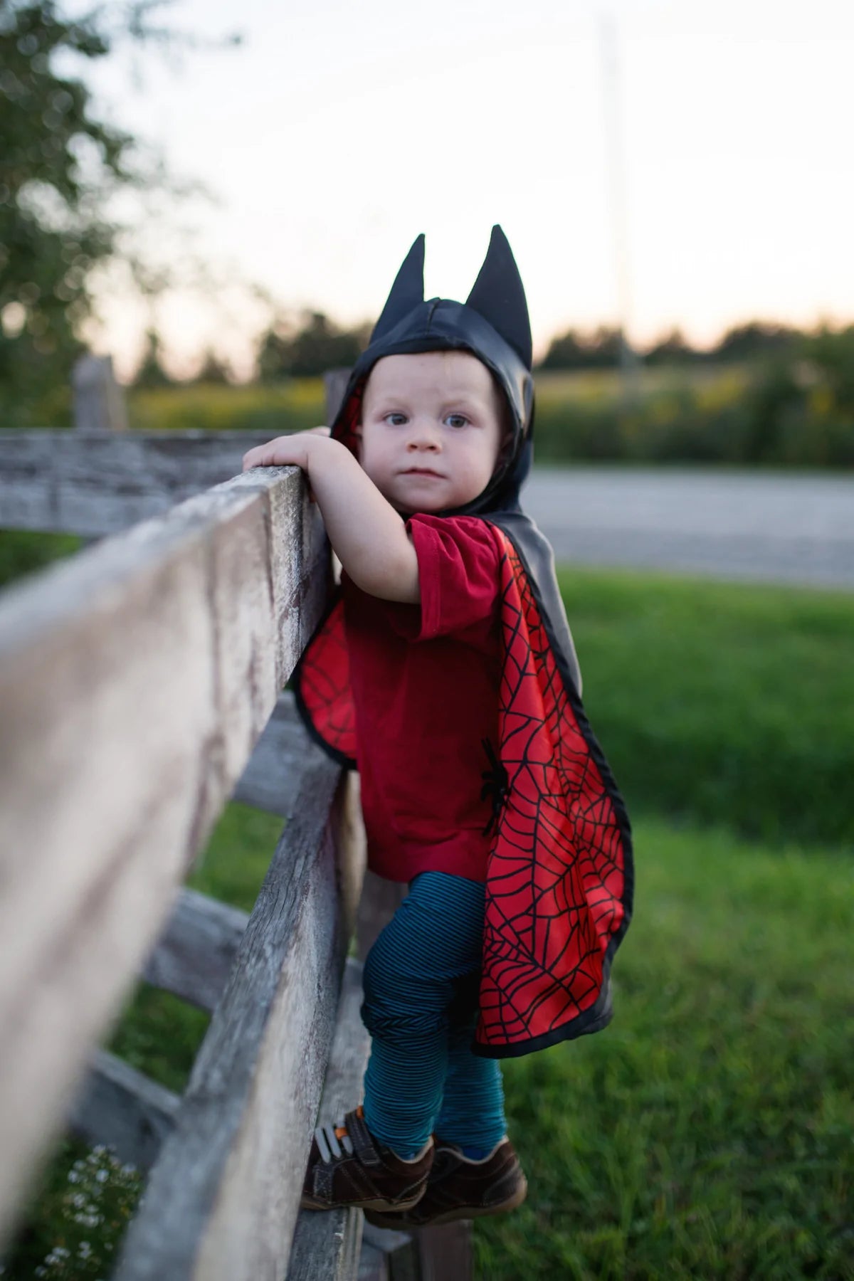 Baby Reversible Spider Bat Cape